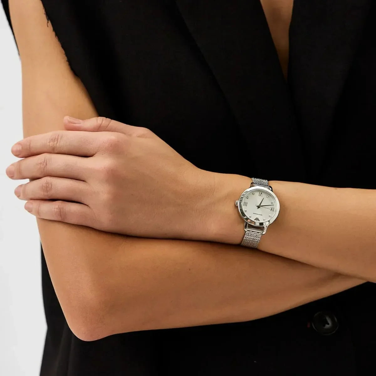 Emporio Armani Cleo Silver Dial Silver Mesh Strap Watch for Women - AR11584