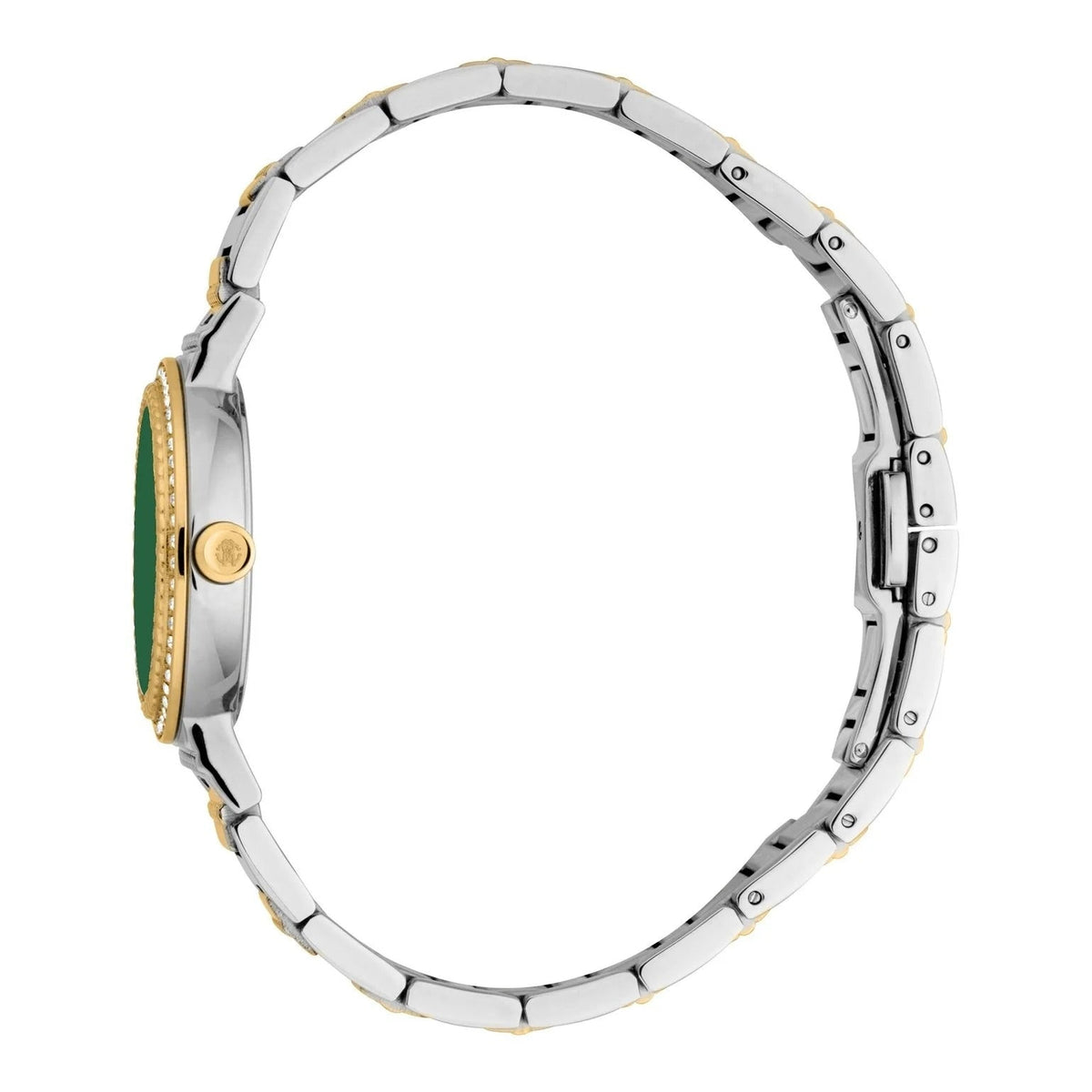 Just Cavalli Donna Glam Green Dial Two Tone Steel Strap Watch for Women - RC5L098M0065