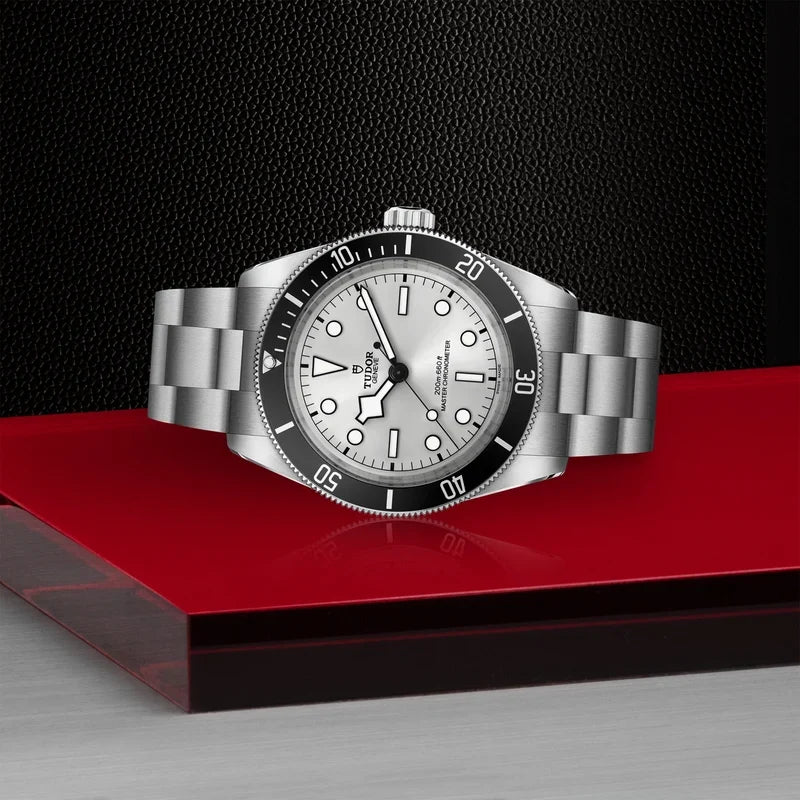 Tudor Black Bay 54 Silver Dial Silver Steel Strap Watch for Men - M7943A1A0NU-0002
