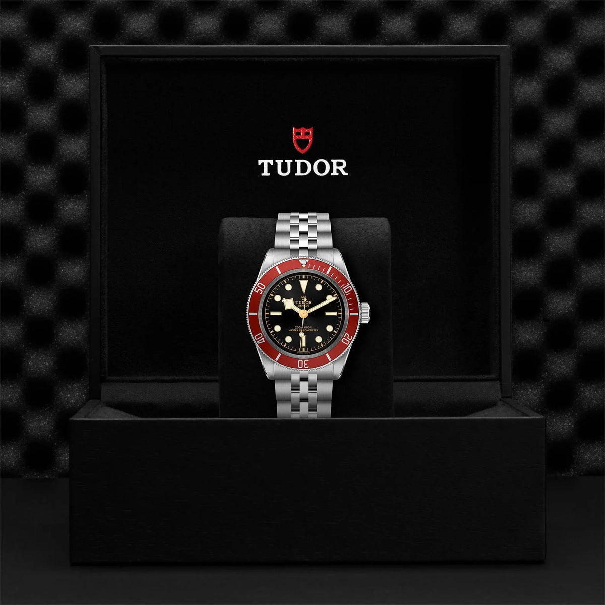 Tudor Black Bay Black Dial Silver Steel Strap Watch for Men - M7941A1A0RU-0003